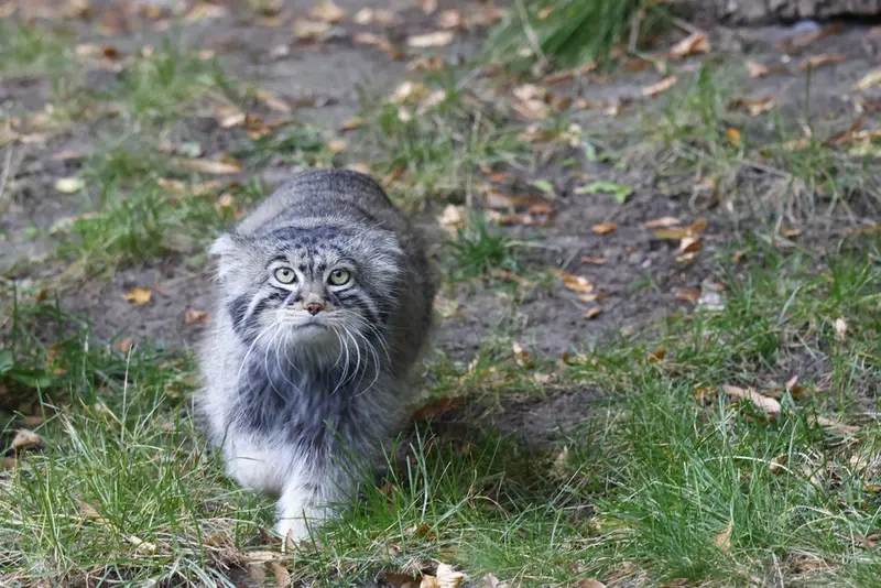 A photograph of Timofey in Moscow zoo