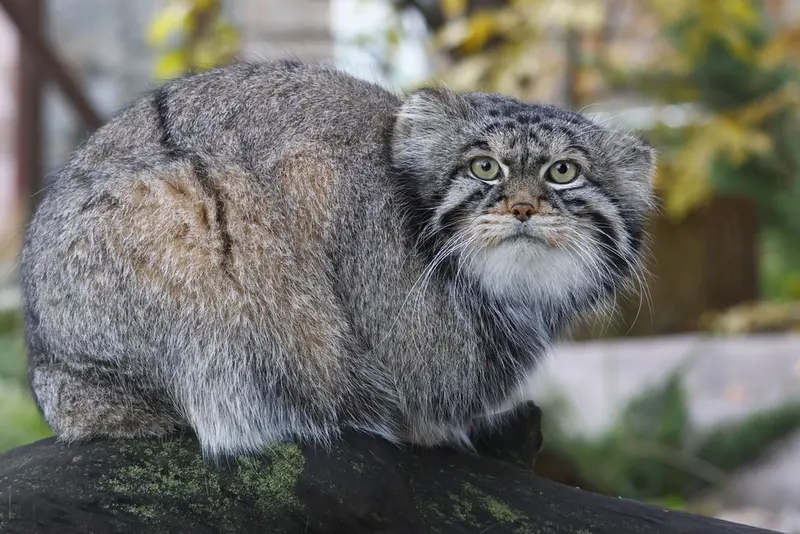 A photograph of Timofey in Moscow zoo