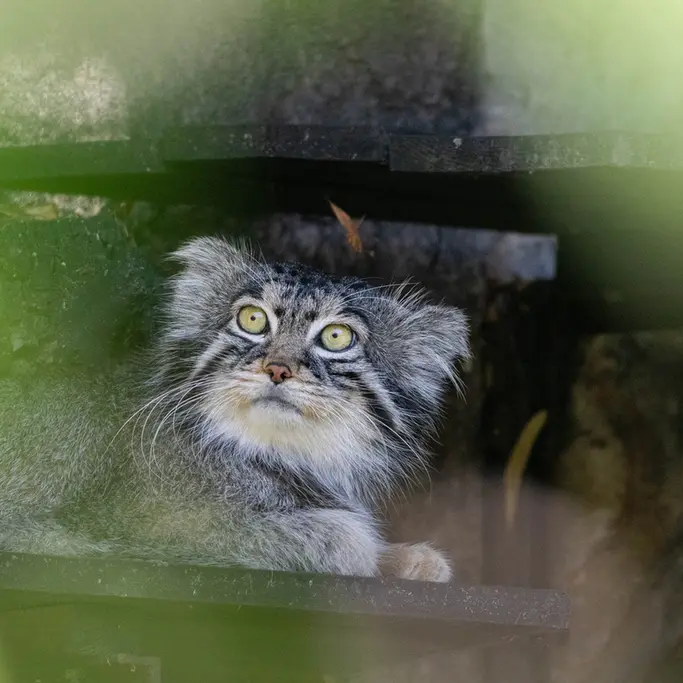 A photograph of Timofey in Moscow zoo