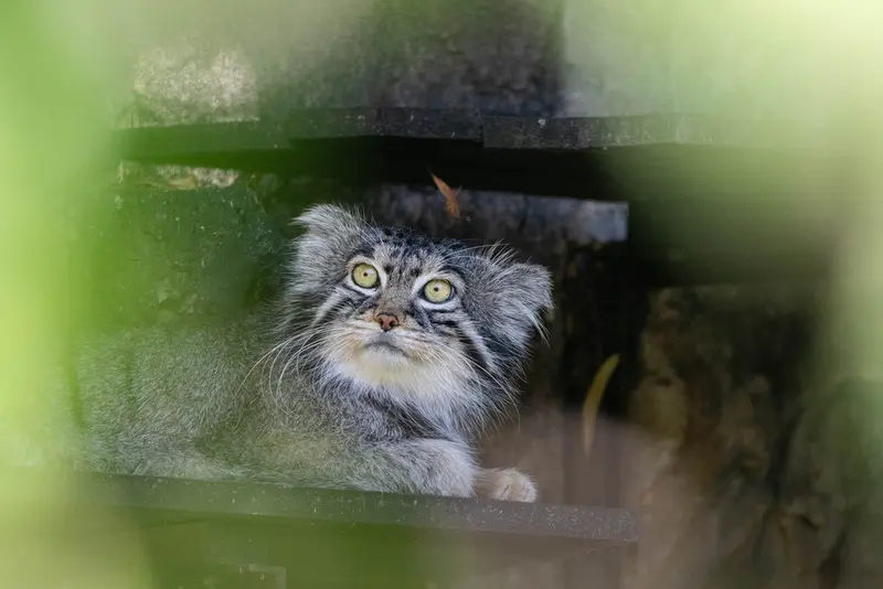 A photograph of Timofey in Moscow zoo