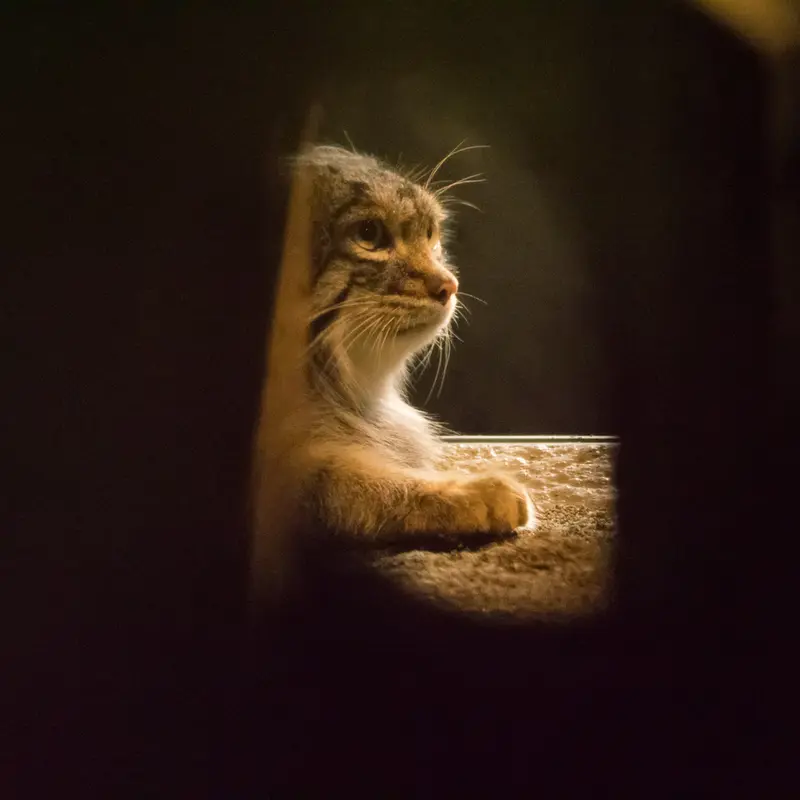 A photograph of Figa in Nogeyama Zoo