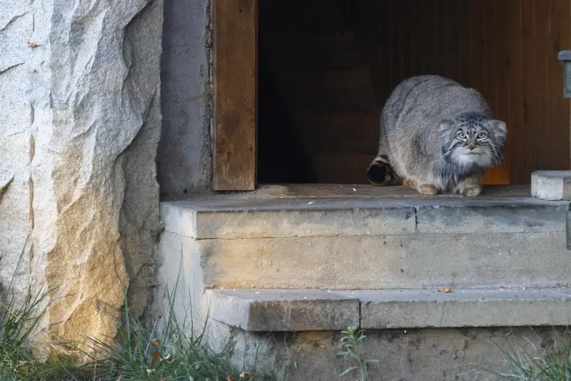 A photograph of Timofey in Moscow zoo