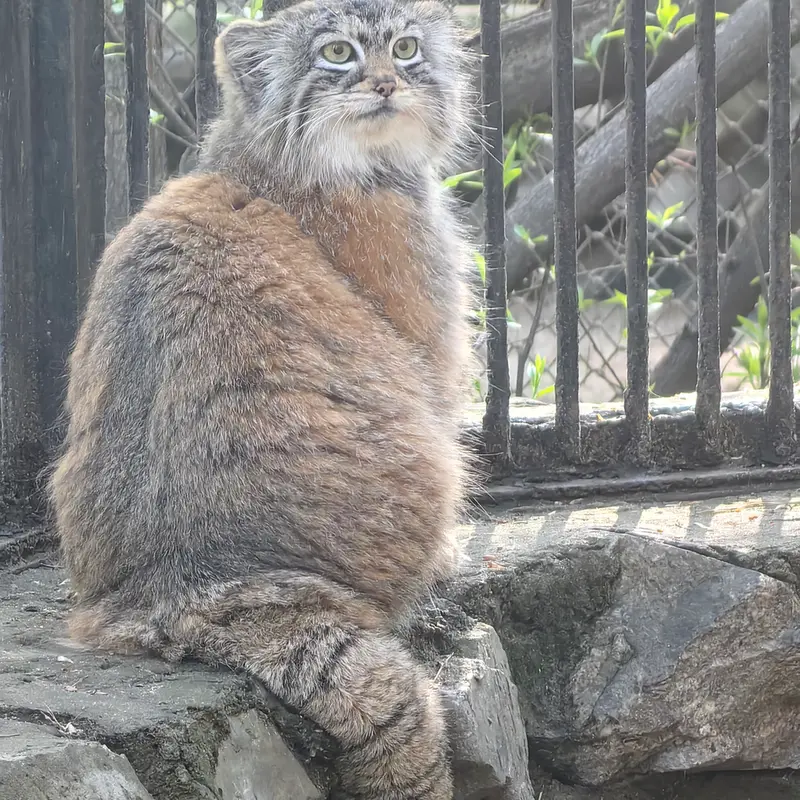 A photograph of Anya in Novosibirsk Zoo