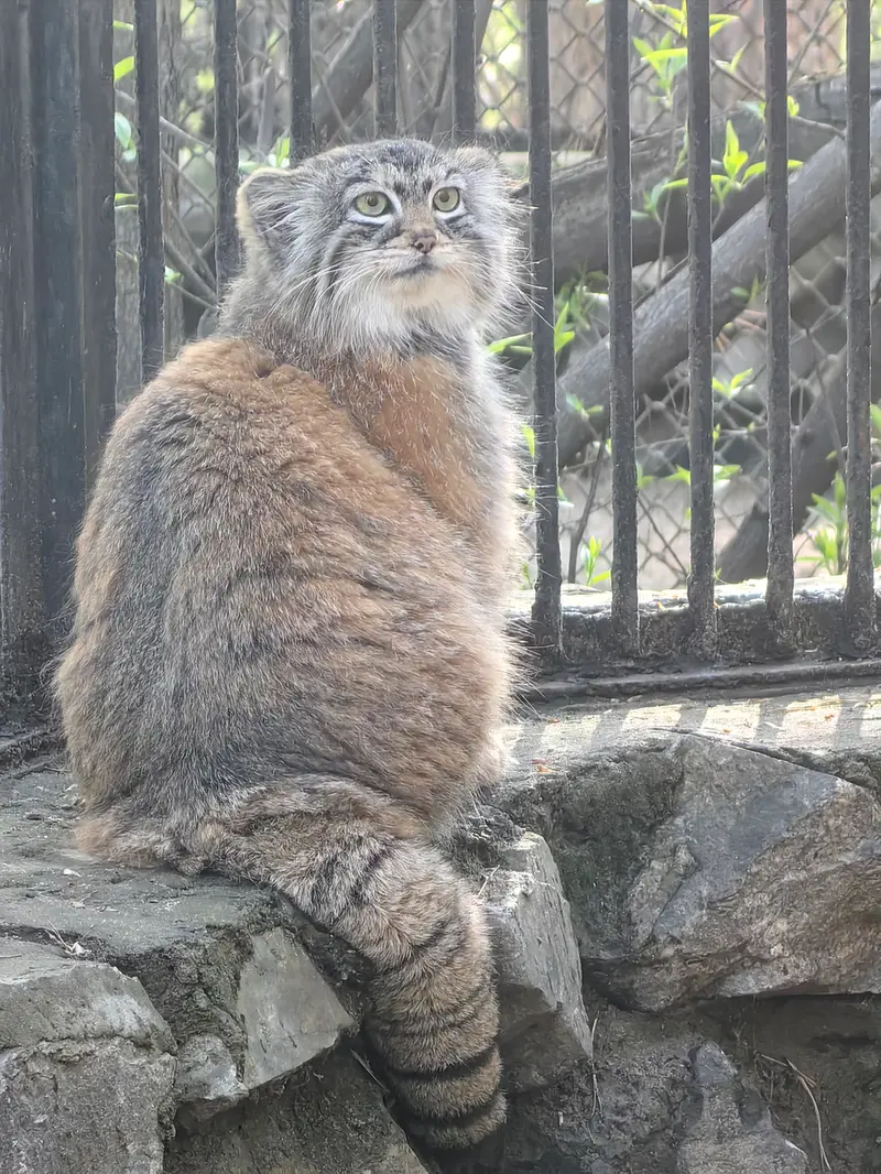 A photograph of Anya in Novosibirsk Zoo