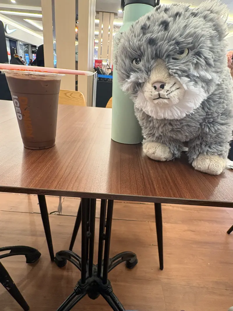 Airport journey with my Pallas plush Rocky