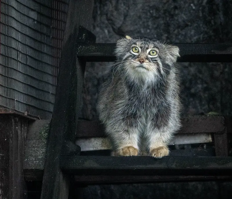 A photograph of Timofey in Moscow zoo