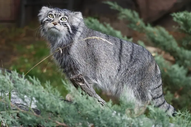 A photograph of Timofey in Moscow zoo