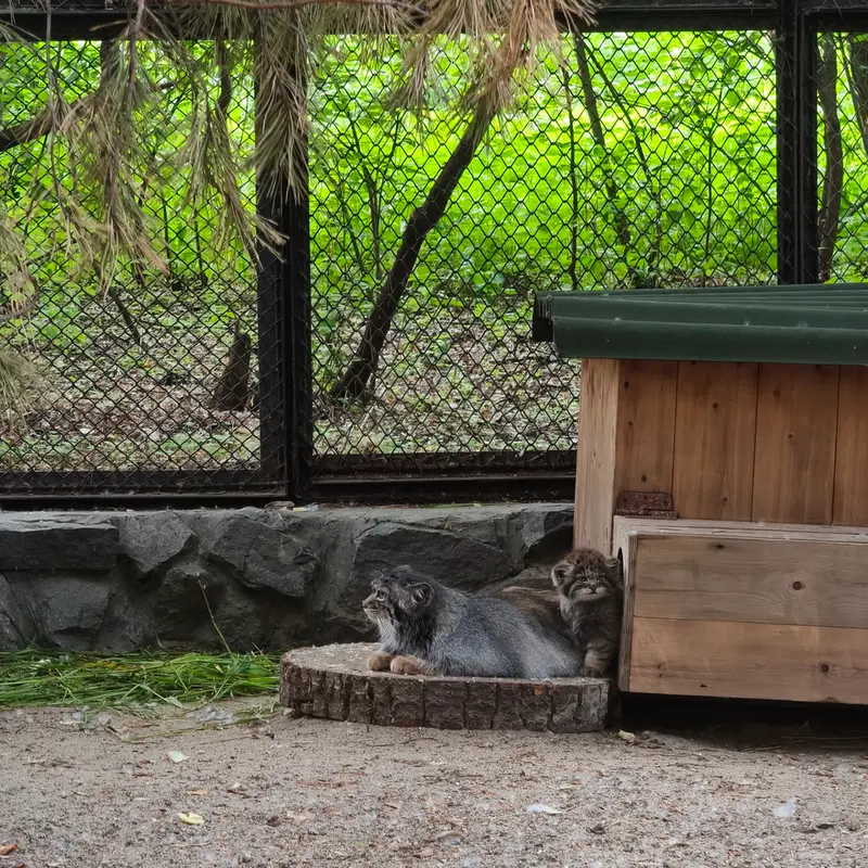 A photograph of Adele in Novosibirsk Zoo
