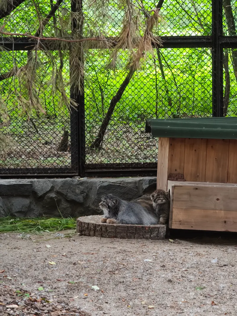 A photograph of Adele in Novosibirsk Zoo