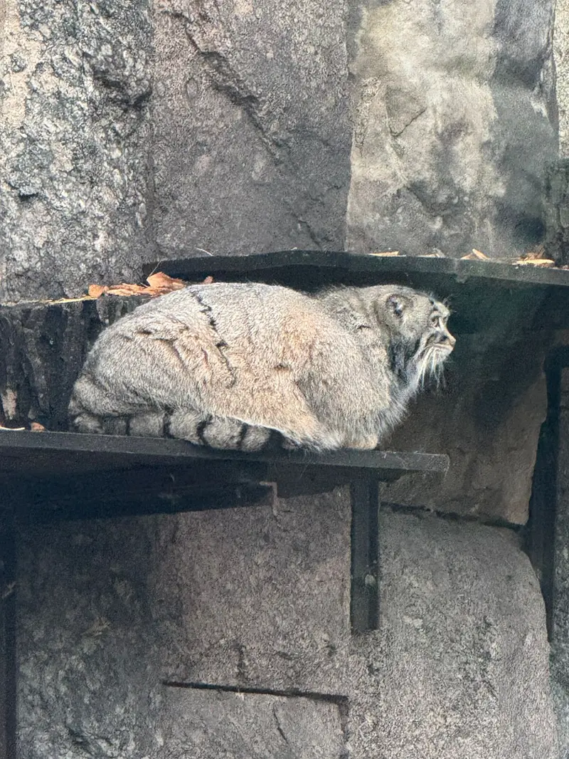 A photograph of Timofey in Moscow zoo