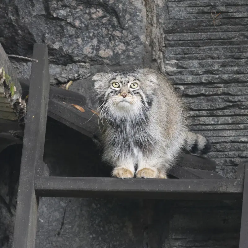 A photograph of Timofey in Moscow zoo