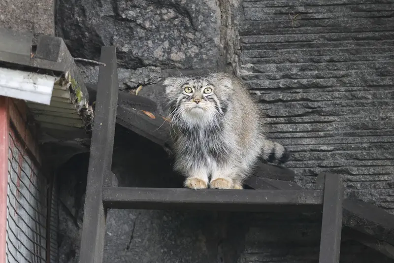 A photograph of Timofey in Moscow zoo