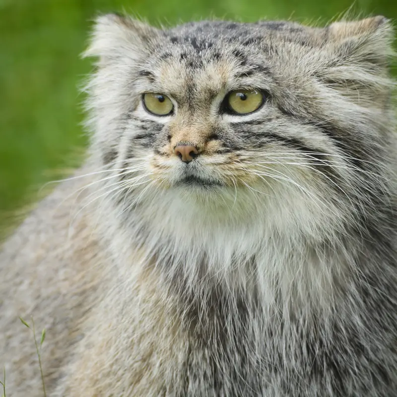 A photograph of Agneta in Parken Zoo