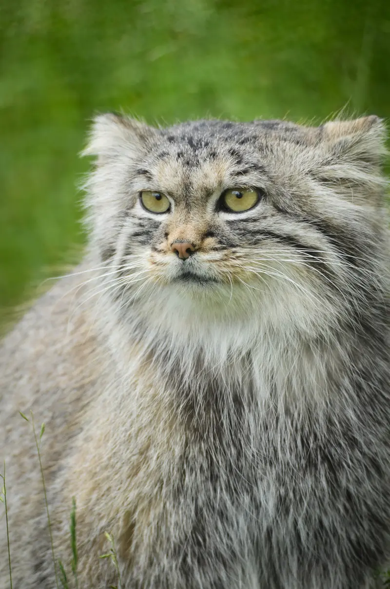 A photograph of Agneta in Parken Zoo