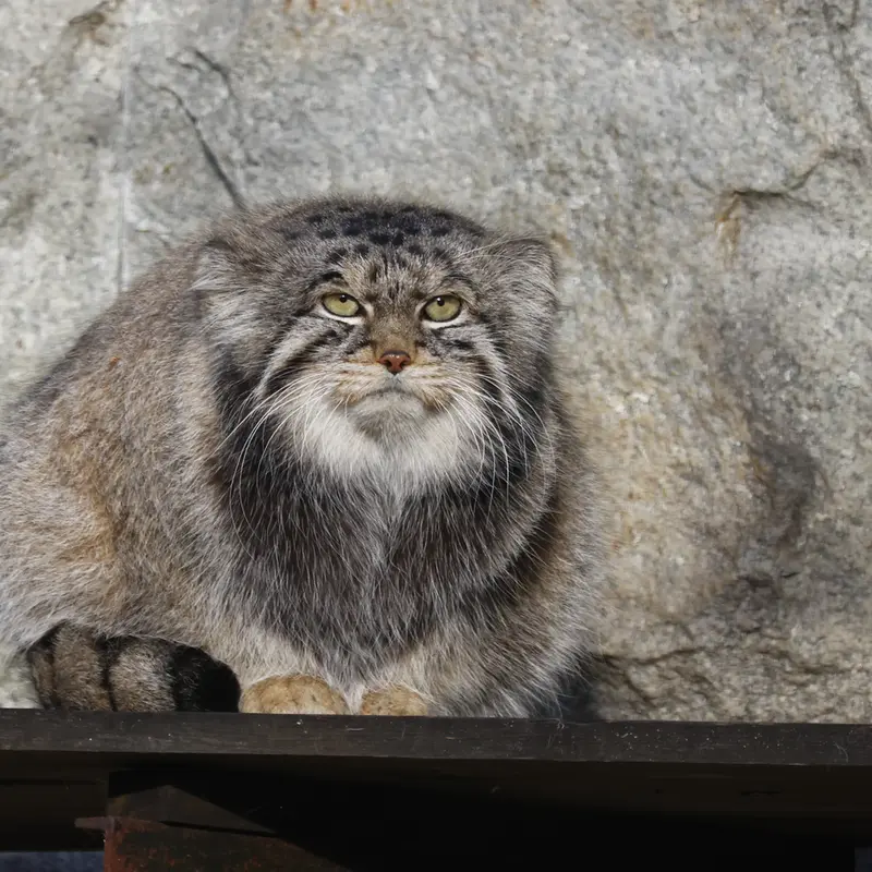 A photograph of Timofey in Moscow zoo
