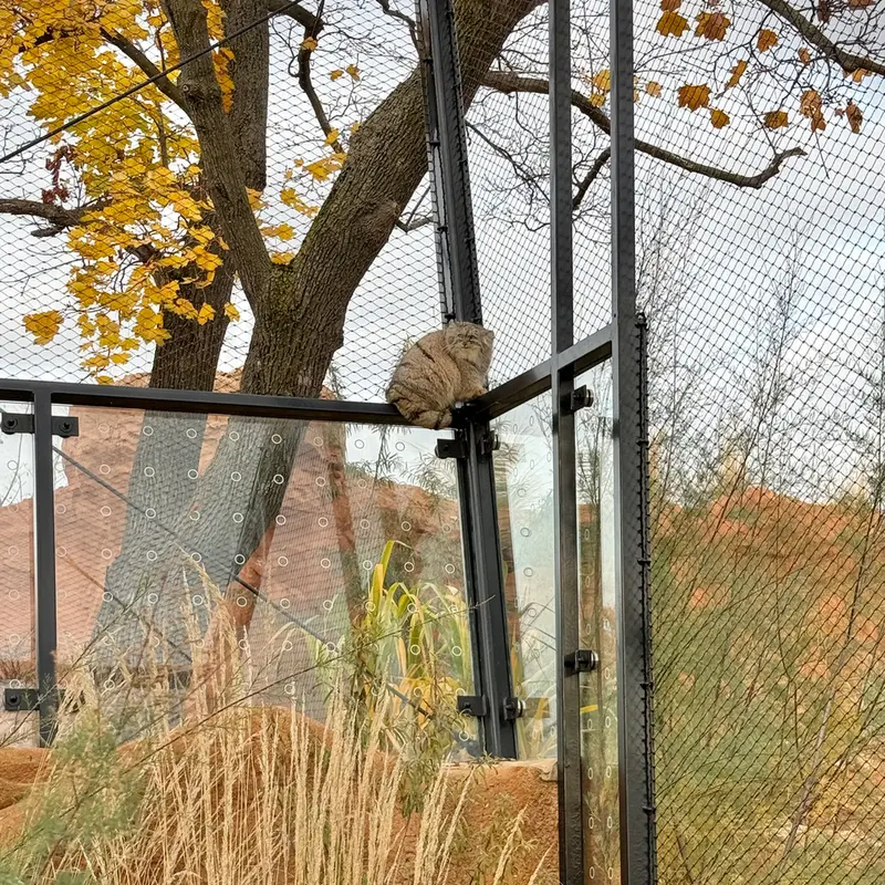 A photograph of Prinsessa in Prague Zoo