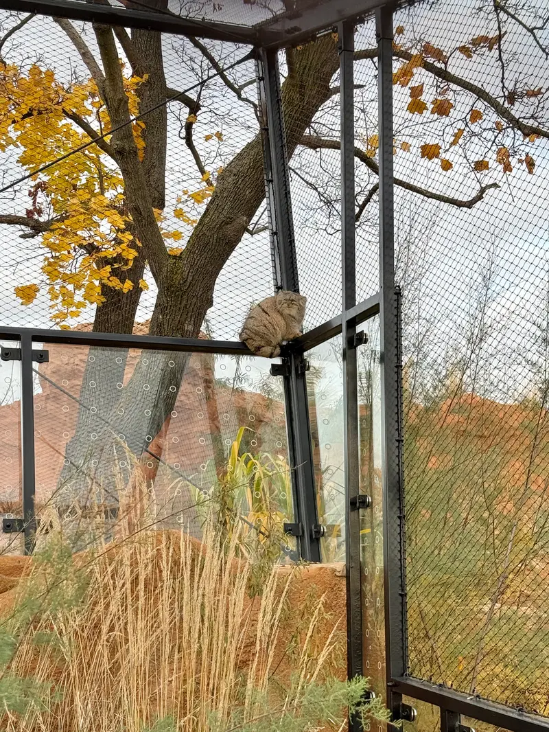 A photograph of Prinsessa in Prague Zoo