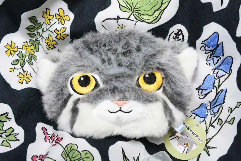 A photograph of a Pallas's cat