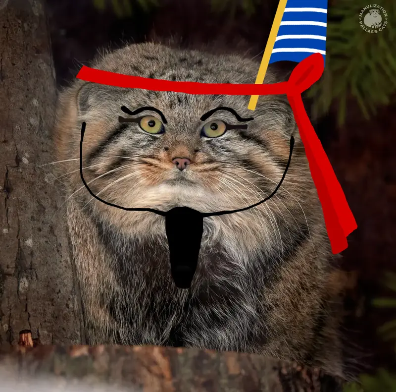 The first thing that comes to mind when someone says "Shu" is...