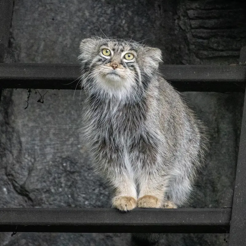 A photograph of Timofey in Moscow zoo