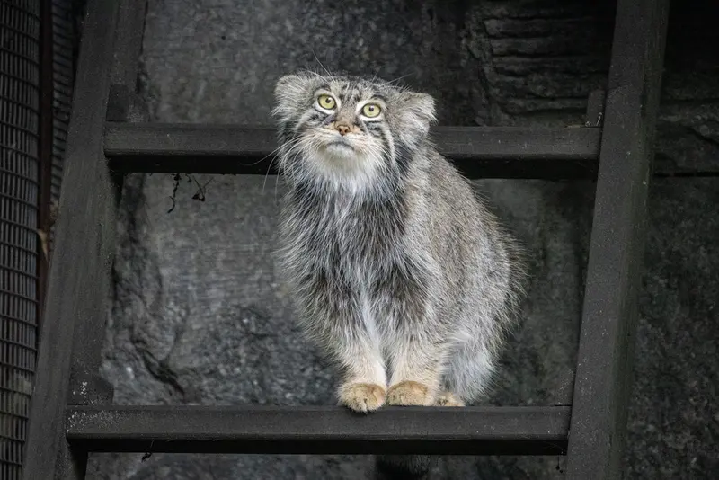 A photograph of Timofey in Moscow zoo