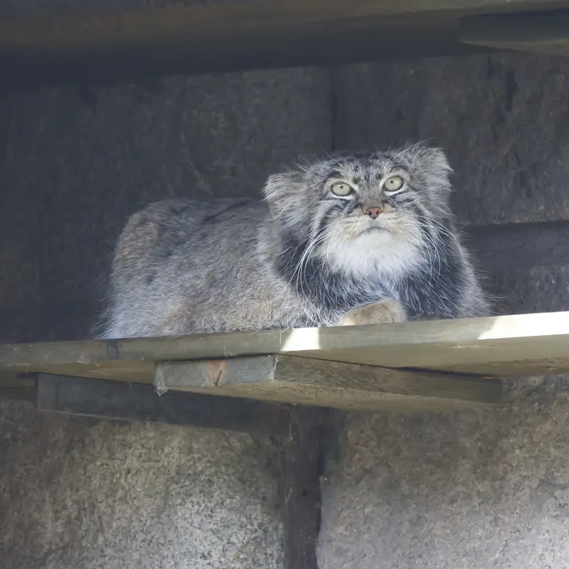 A photograph of Timofey in Moscow zoo