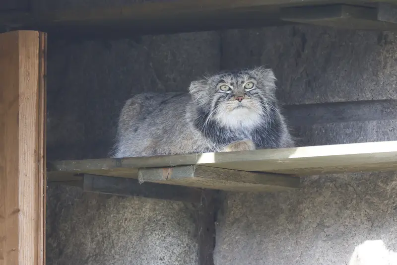 A photograph of Timofey in Moscow zoo