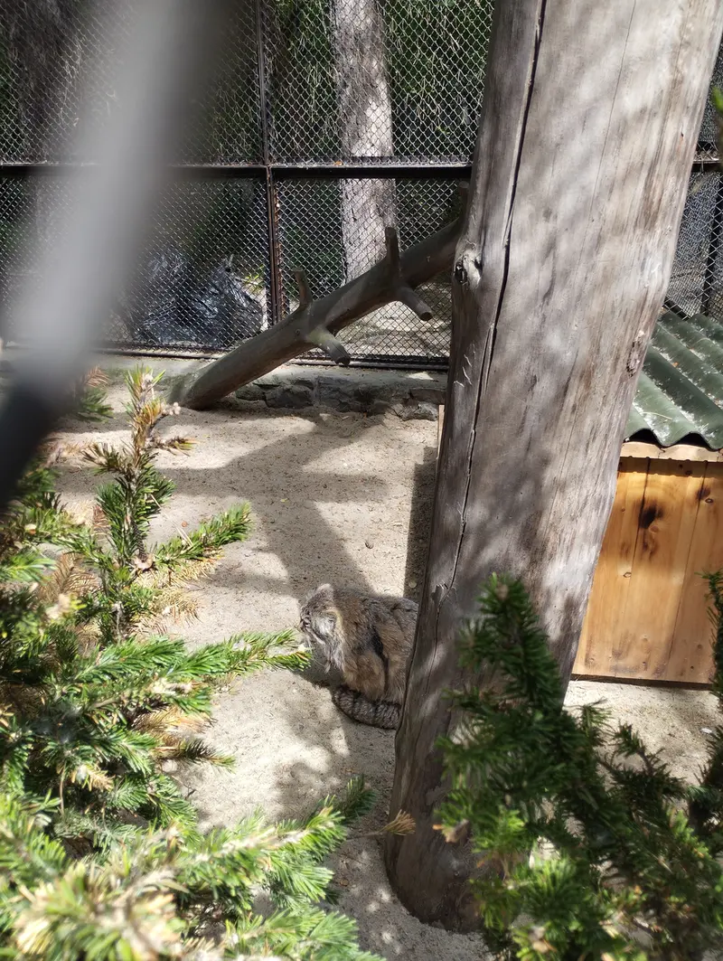 A photograph of Zelenogorsk in Novosibirsk Zoo