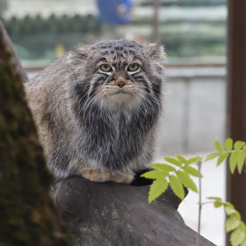 A photograph of Timofey in Moscow zoo