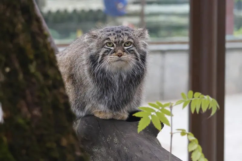 A photograph of Timofey in Moscow zoo
