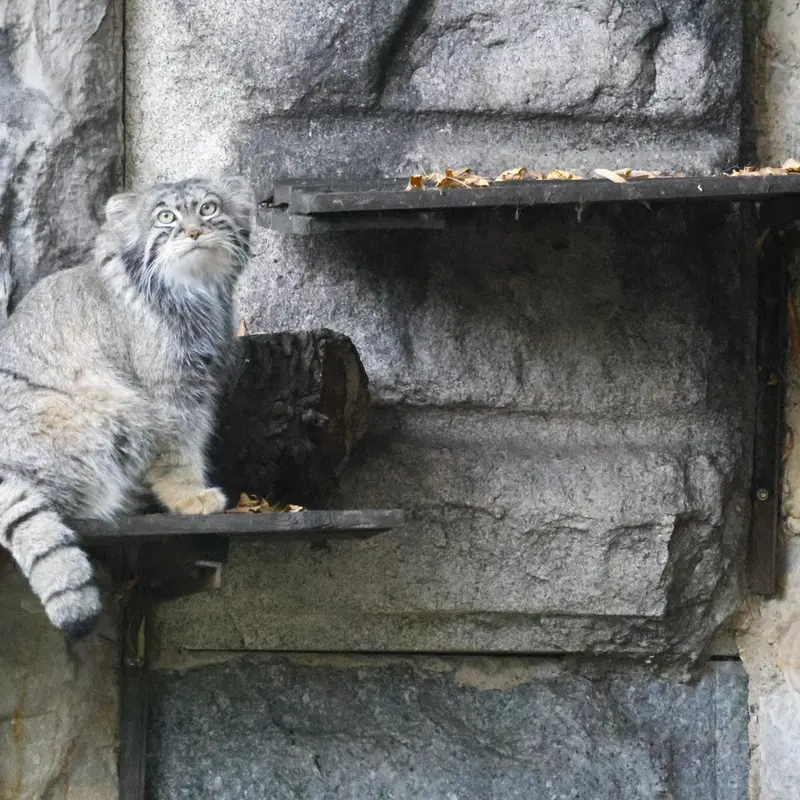A photograph of Timofey in Moscow zoo