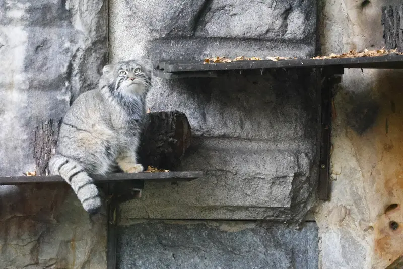 A photograph of Timofey in Moscow zoo