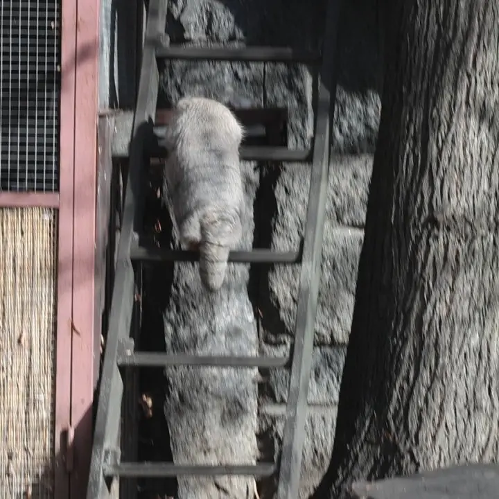 A photograph of Timofey in Moscow zoo