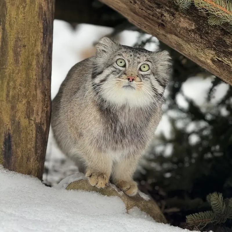 A photograph of Dean in Oglebay Good Zoo