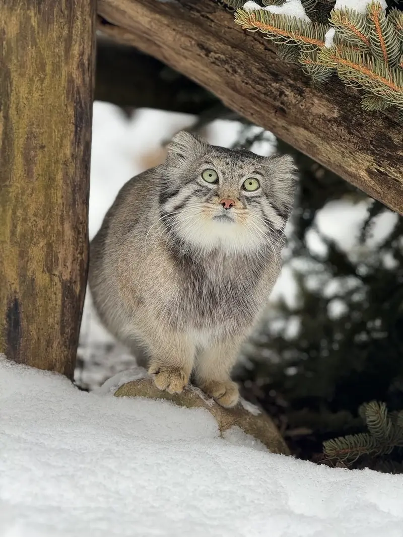 A photograph of Dean in Oglebay Good Zoo