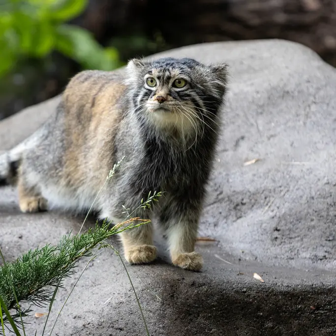 A photograph of Timofey in Moscow zoo