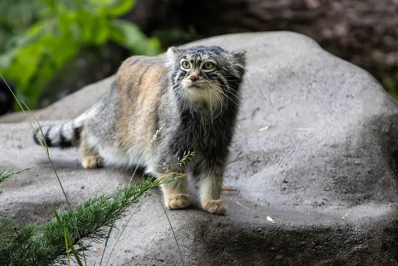 A photograph of Timofey in Moscow zoo