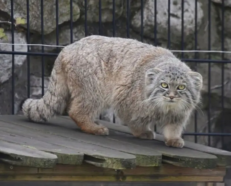 A photograph of Aaron in Bio-Topia Dunkerque