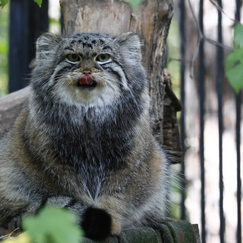 A photograph of Anya in Novosibirsk Zoo