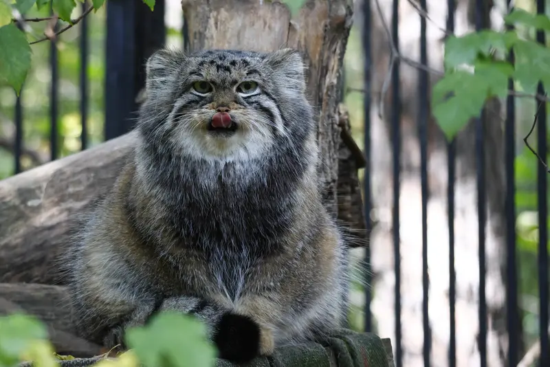 A photograph of Anya in Novosibirsk Zoo