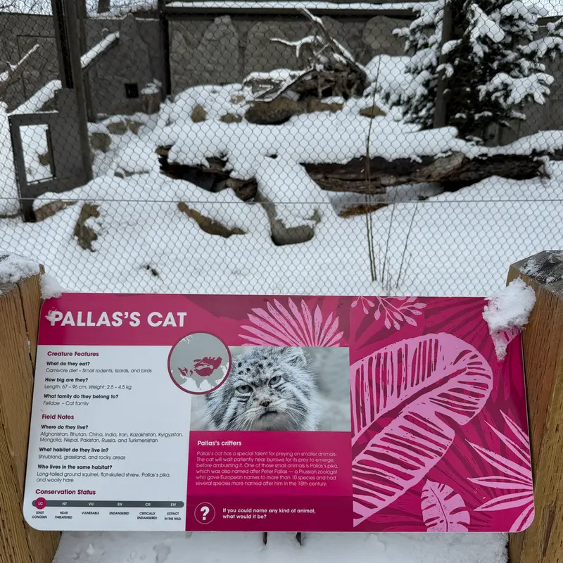A photograph of Olaf in Calgary Zoo / Wilder Institute