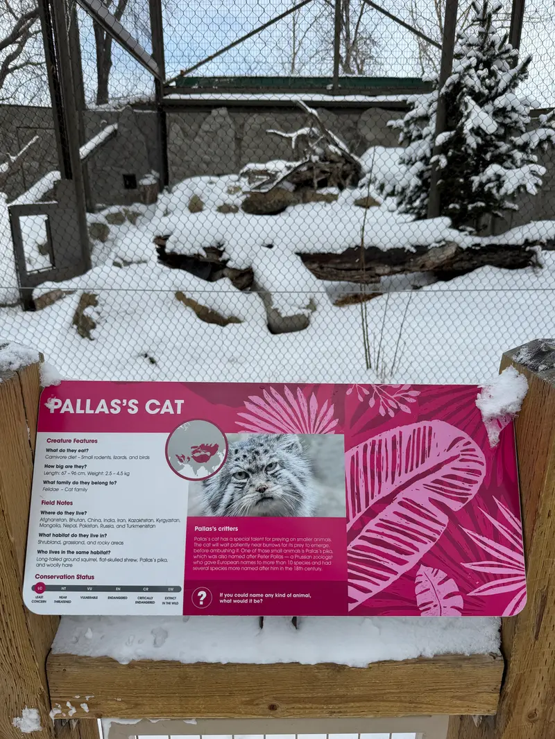 A photograph of Olaf in Calgary Zoo / Wilder Institute