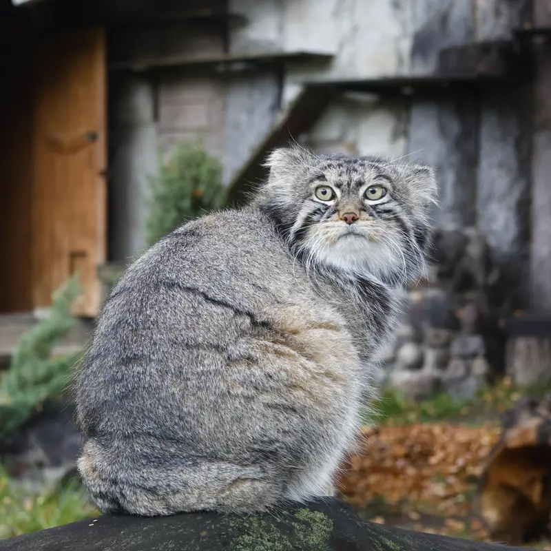 A photograph of Timofey in Moscow zoo