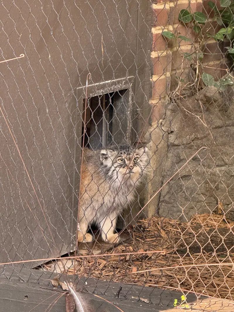 A photograph of Sarnai in Prospect Park Zoo
