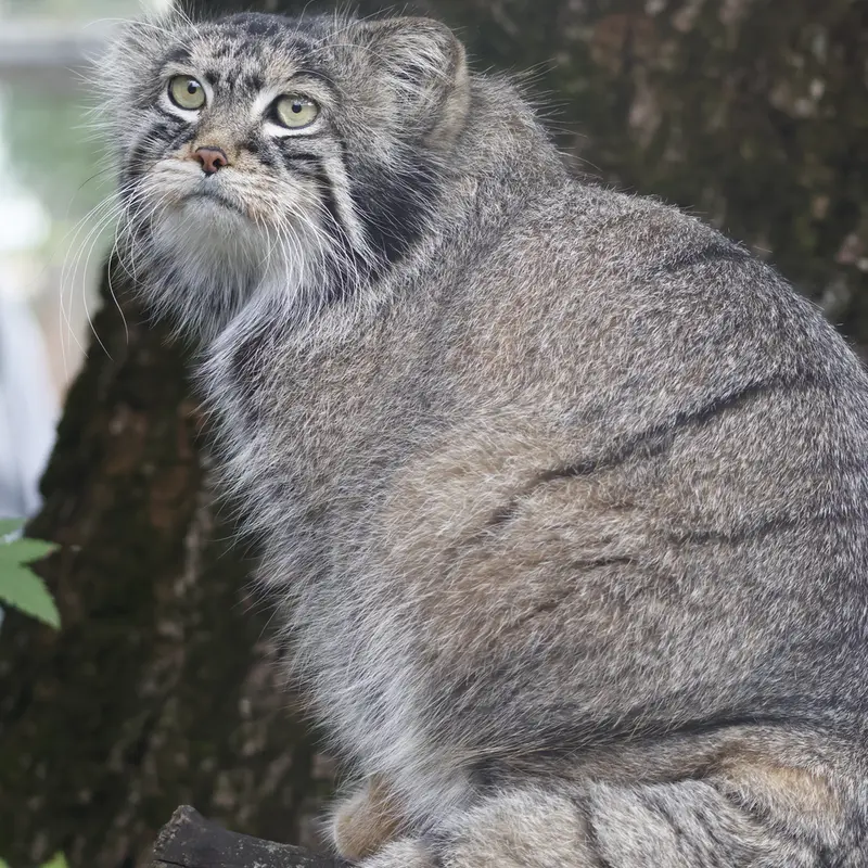 A photograph of Timofey in Moscow zoo