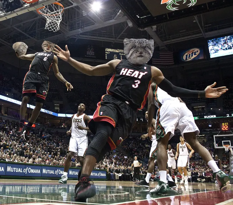 Manul basketball dunk