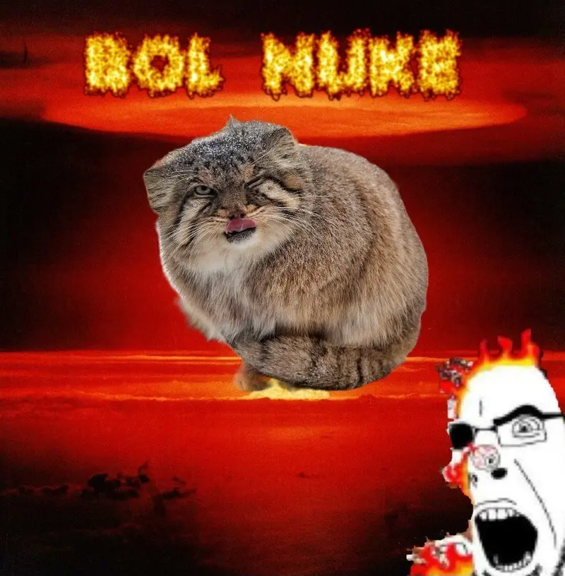 A photograph of Bor