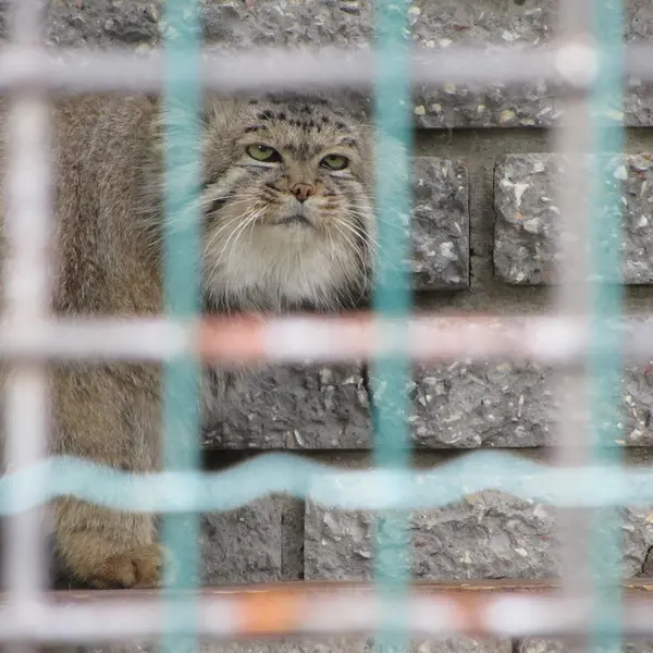 A photograph of Jonathan in Magdeburg Zoo