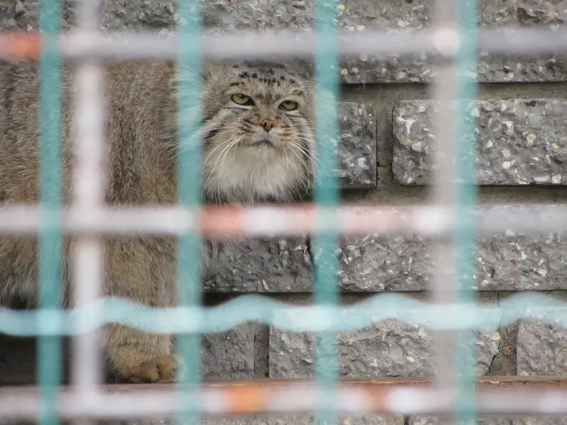 A photograph of Jonathan in Magdeburg Zoo
