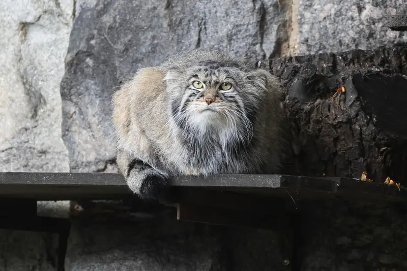 A photograph of Timofey in Moscow zoo